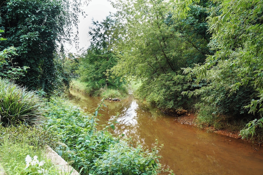 A narrow, muddy river surrounded by dense green foliage.