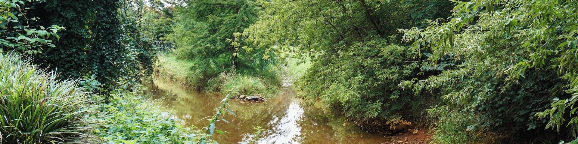 Mündung der Threne in die Parthe in Zweenfurth