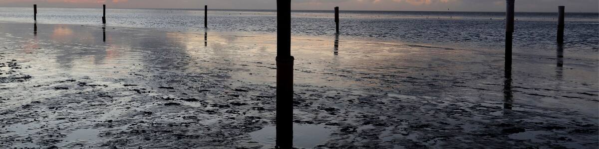 North Sea beach with tides, breakwaters, groynes and pastel sunset, Norddeich Ostfriesland Germany.
