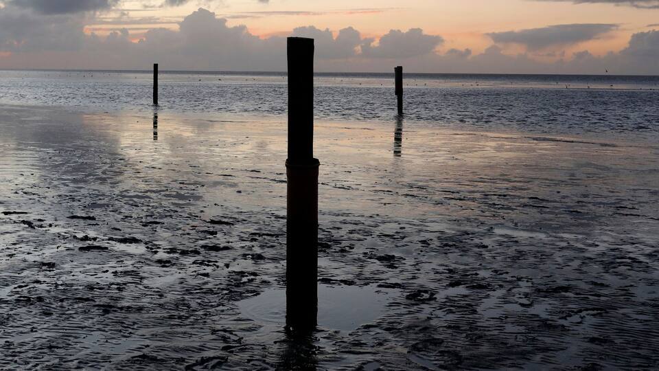 A wet beach with wooden posts and a sunset in the background.