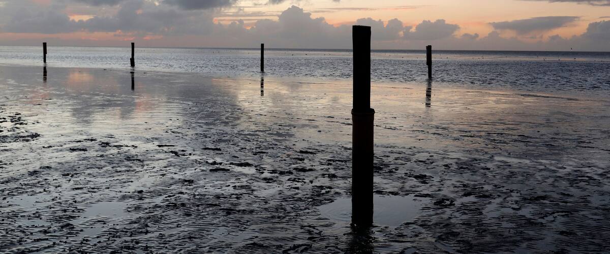 A wet beach with wooden posts and a sunset in the background.