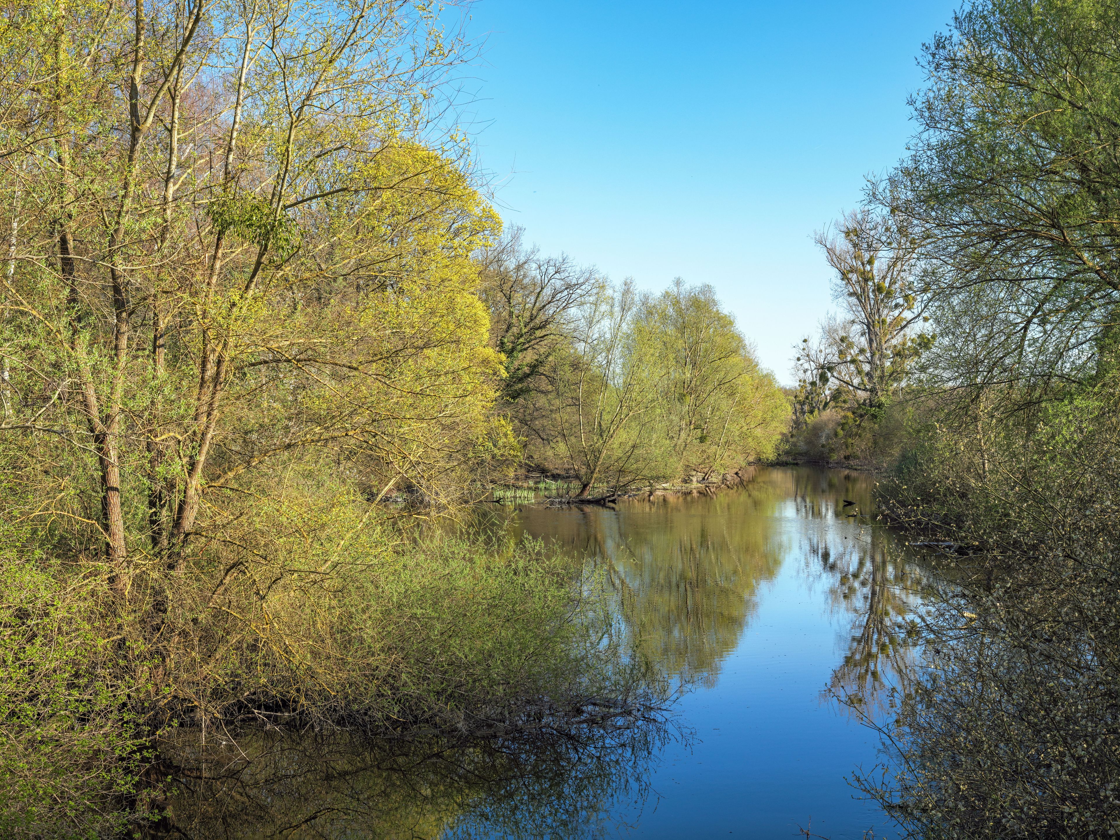 Frühling in Naturschutzgebiet Hördter Rheinauen, Treidlerweg, Hördt, Rheinland-Pfalz, Deutschland