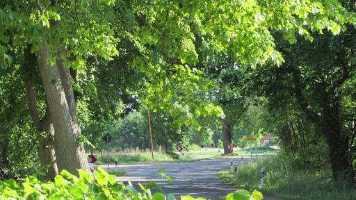 Road L081 in Muchow, district Ludwigslust-Parchim, Mecklenburg-Vorpommern, Germany