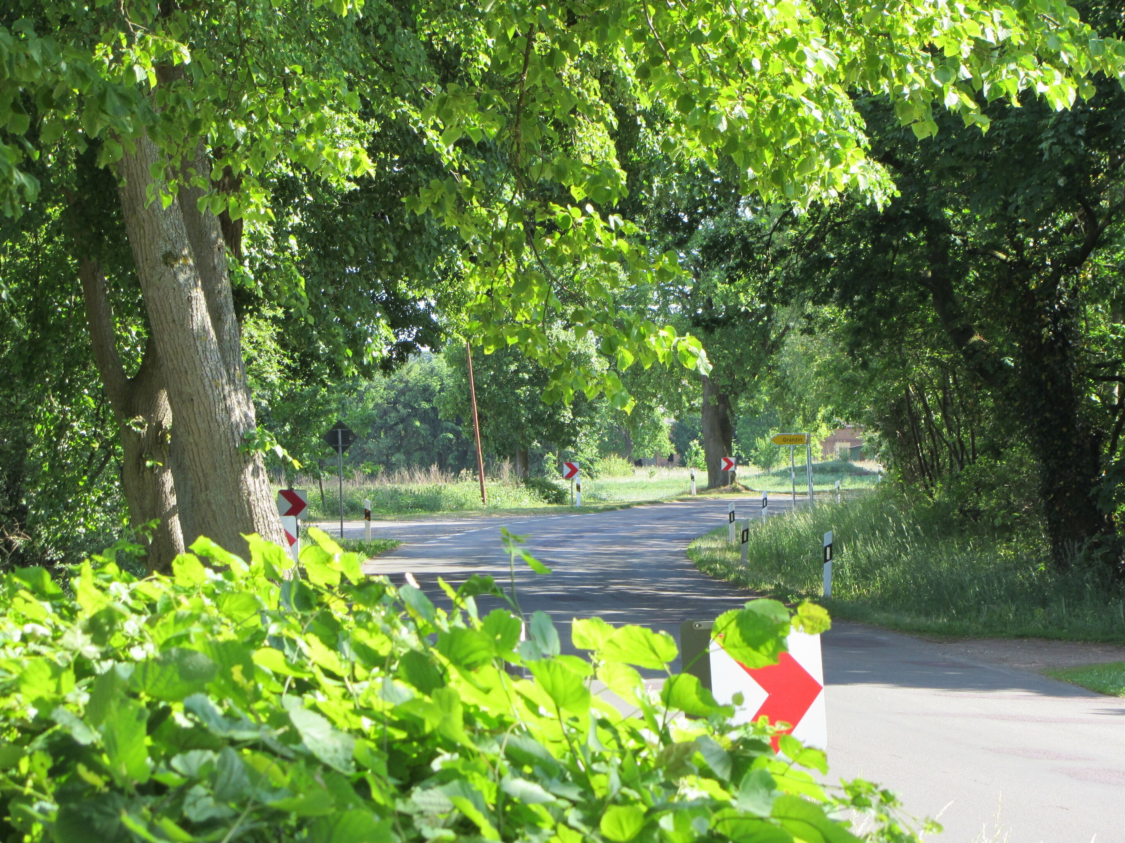 A road with a red and white striped barrier, surrounded by lush green trees and vegetation.