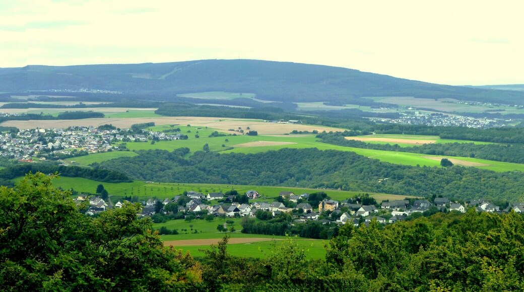 Lützelsoon – Teufelsfels – Blick nach Süden in Richtung Schneppenbach und Bundenbach