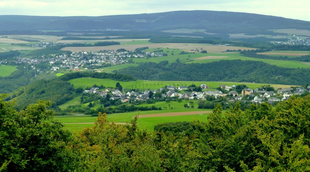 Lützelsoon – Teufelsfels – Schneppenbach – Bundenbach –Bollenbach - Rhaunen