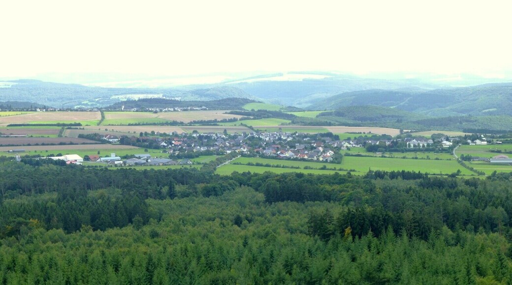 Lützelsoon – Teufelsfels – Blick nach Süden in Richtung Hennweiler