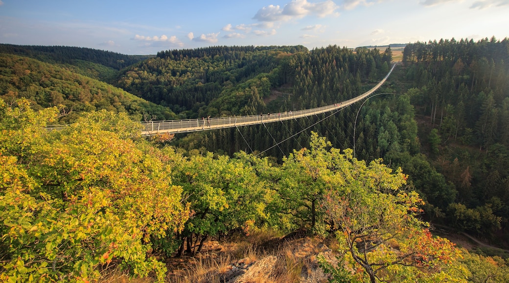 A suspension bridge over a valley with dense forest on either side.