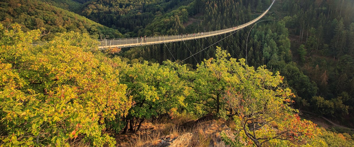 Eine Hängebrücke überspannt ein Tal, flankiert von dichtem Wald.