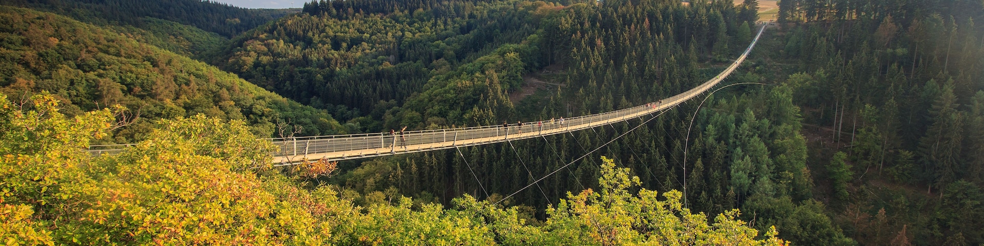 Uma ponte suspensa sobre um vale, com floresta densa em ambos os lados.