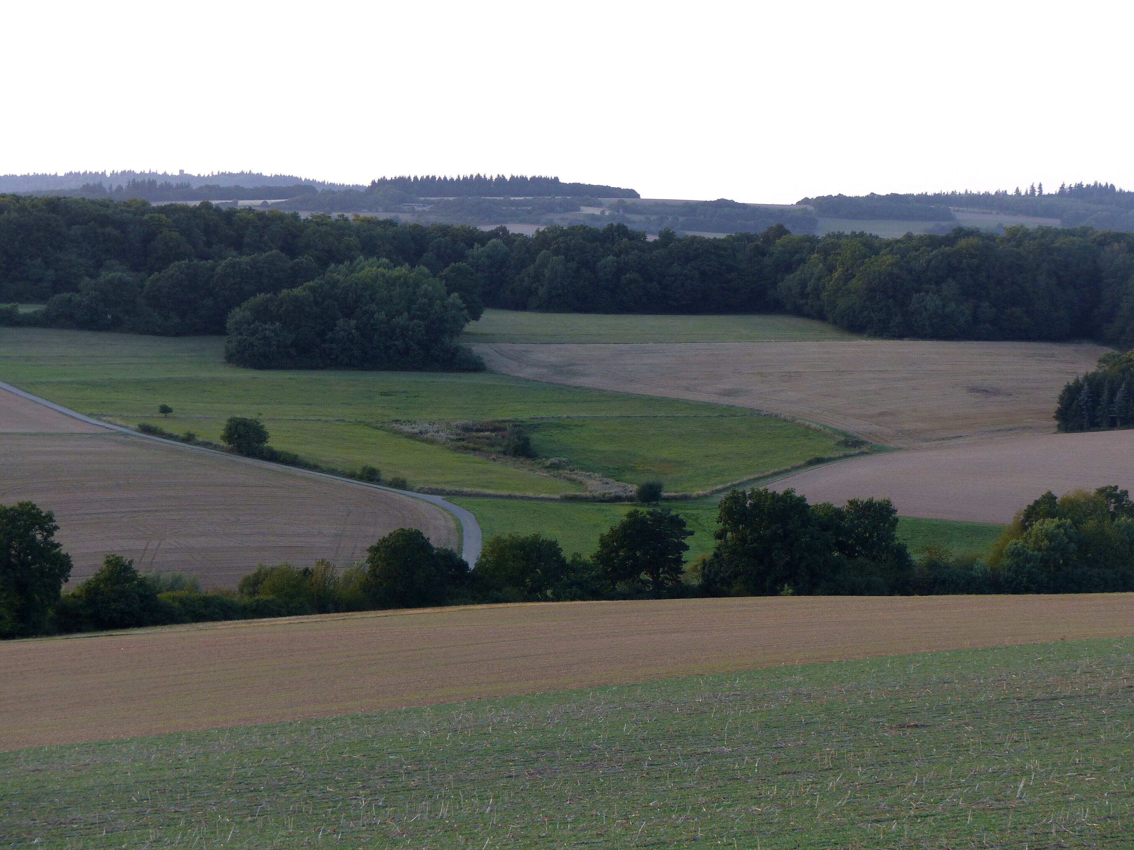 Apfelbachtal bei Seesbach
