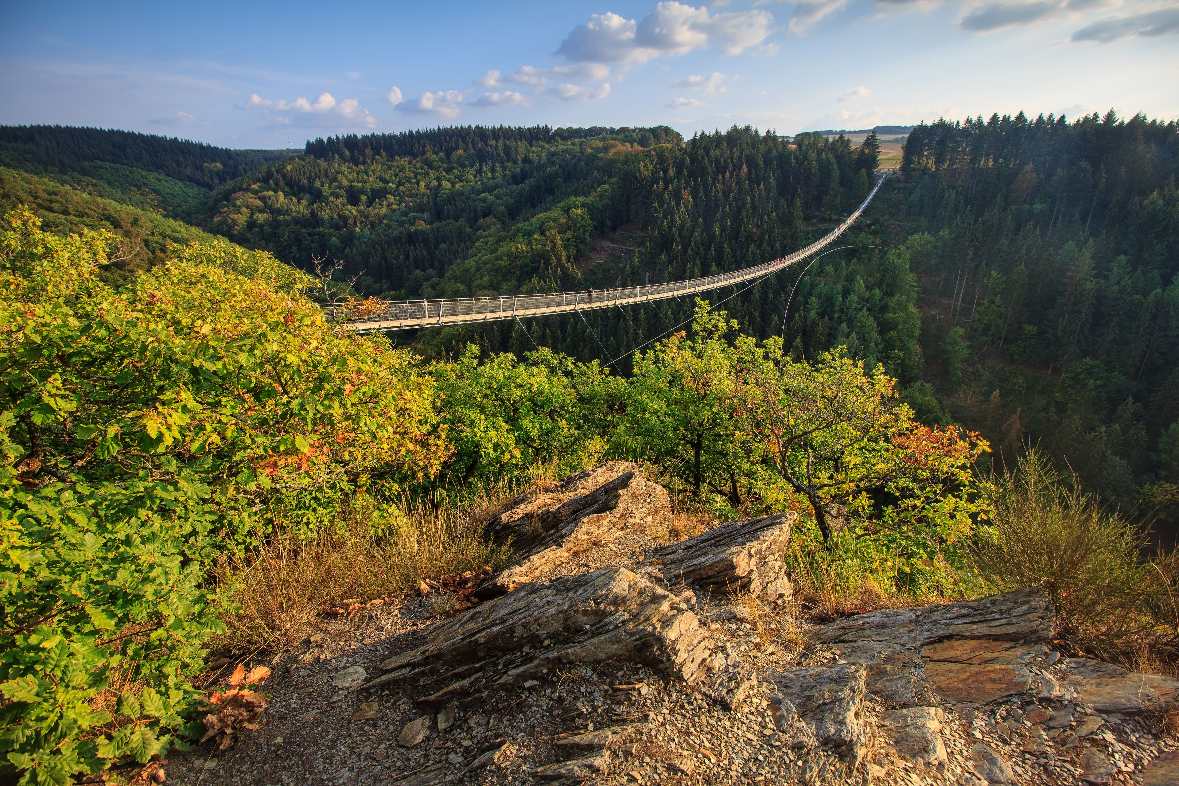 A suspension bridge over a valley with dense forest and rocky terrain.