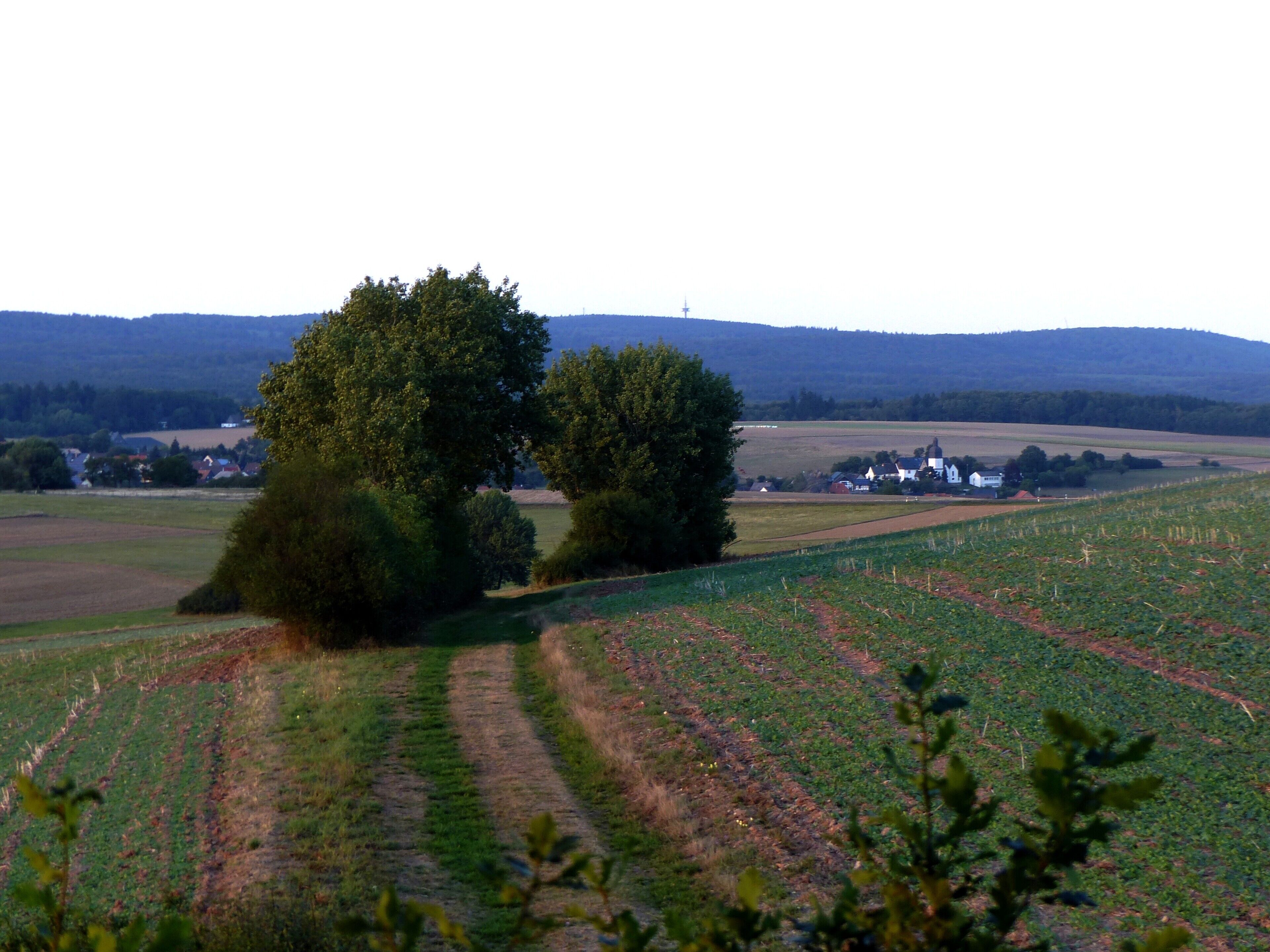 Landschaft bei Seesbach