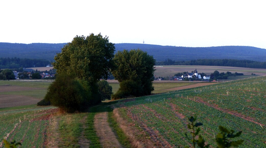Landschaft bei Seesbach