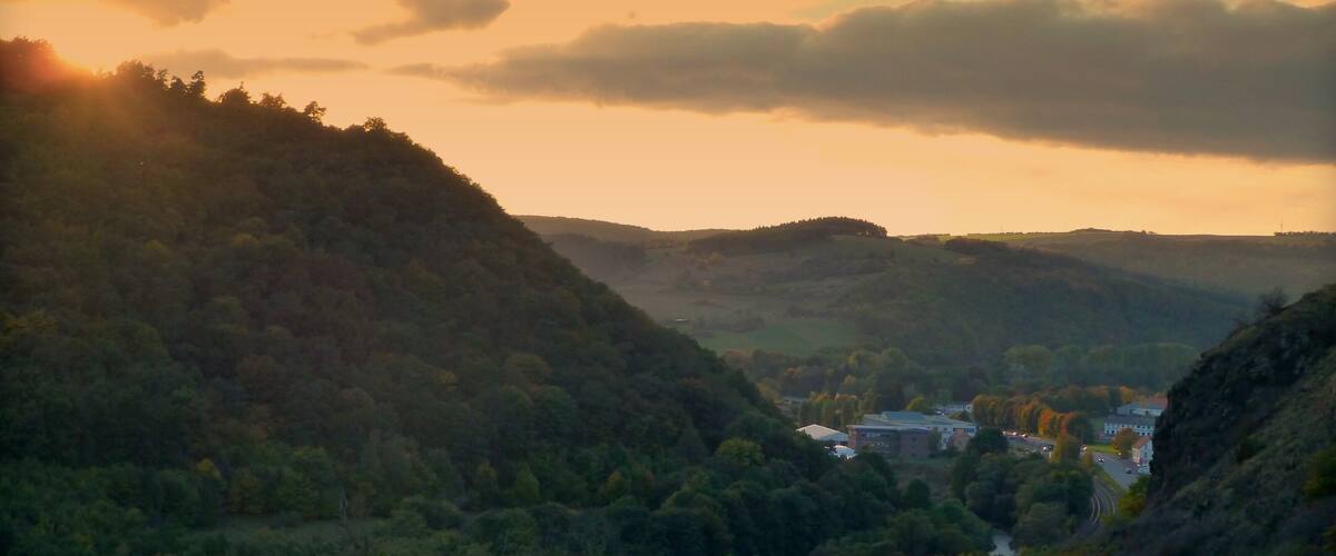 A valley with a town nestled among hills, surrounded by dense forests.