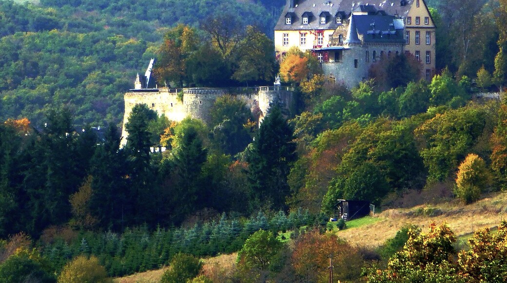 Schloss Dhaun vom Flachsberg in Simmertal aus gesehen