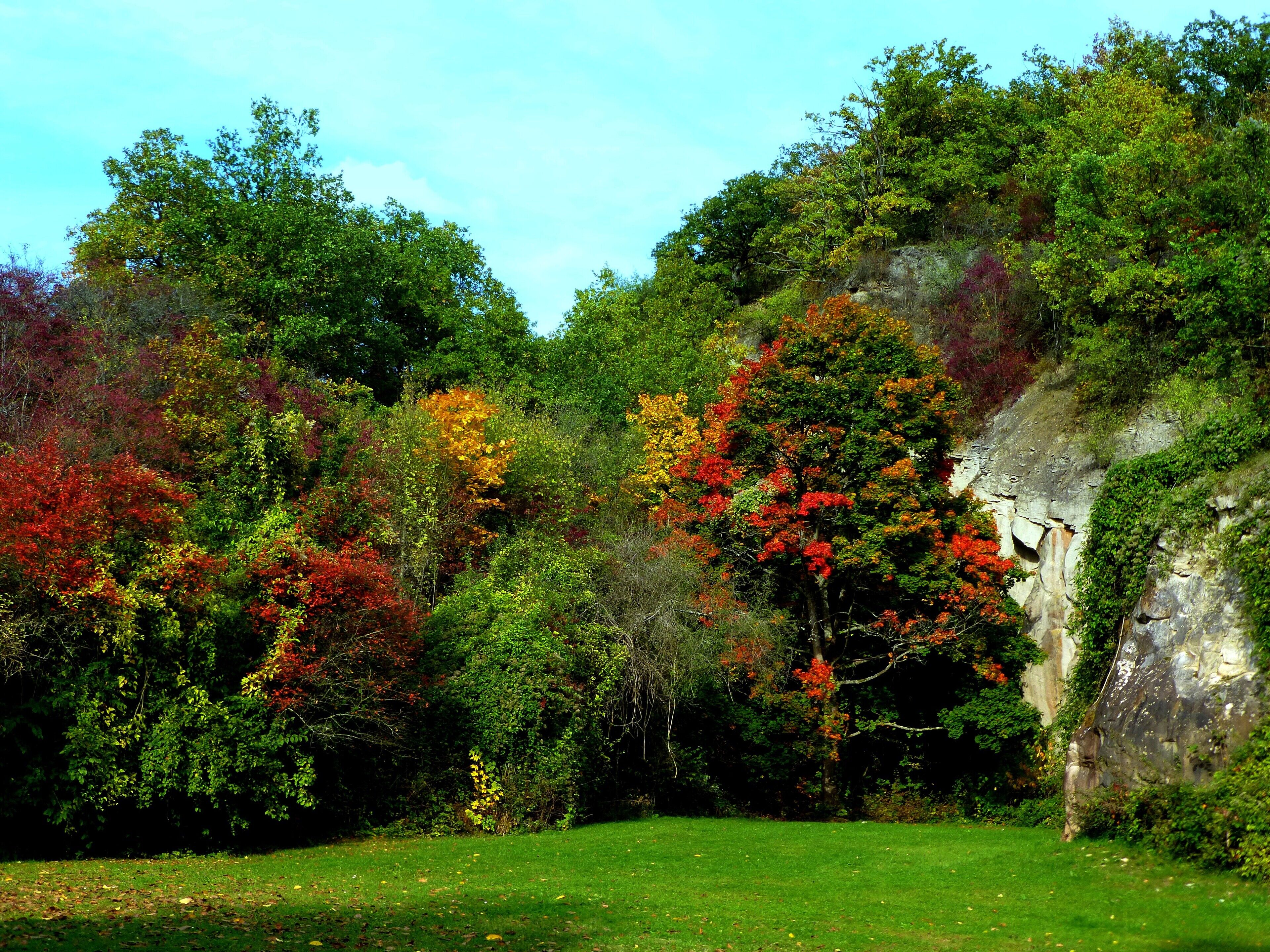 Der Herbst naht - bei Simmertal