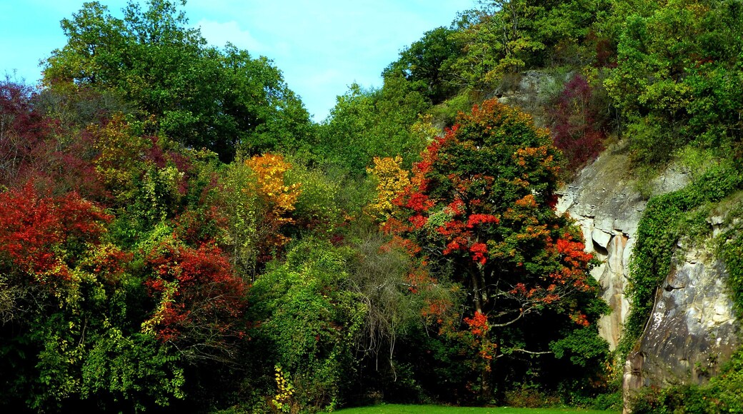 Der Herbst naht - bei Simmertal
