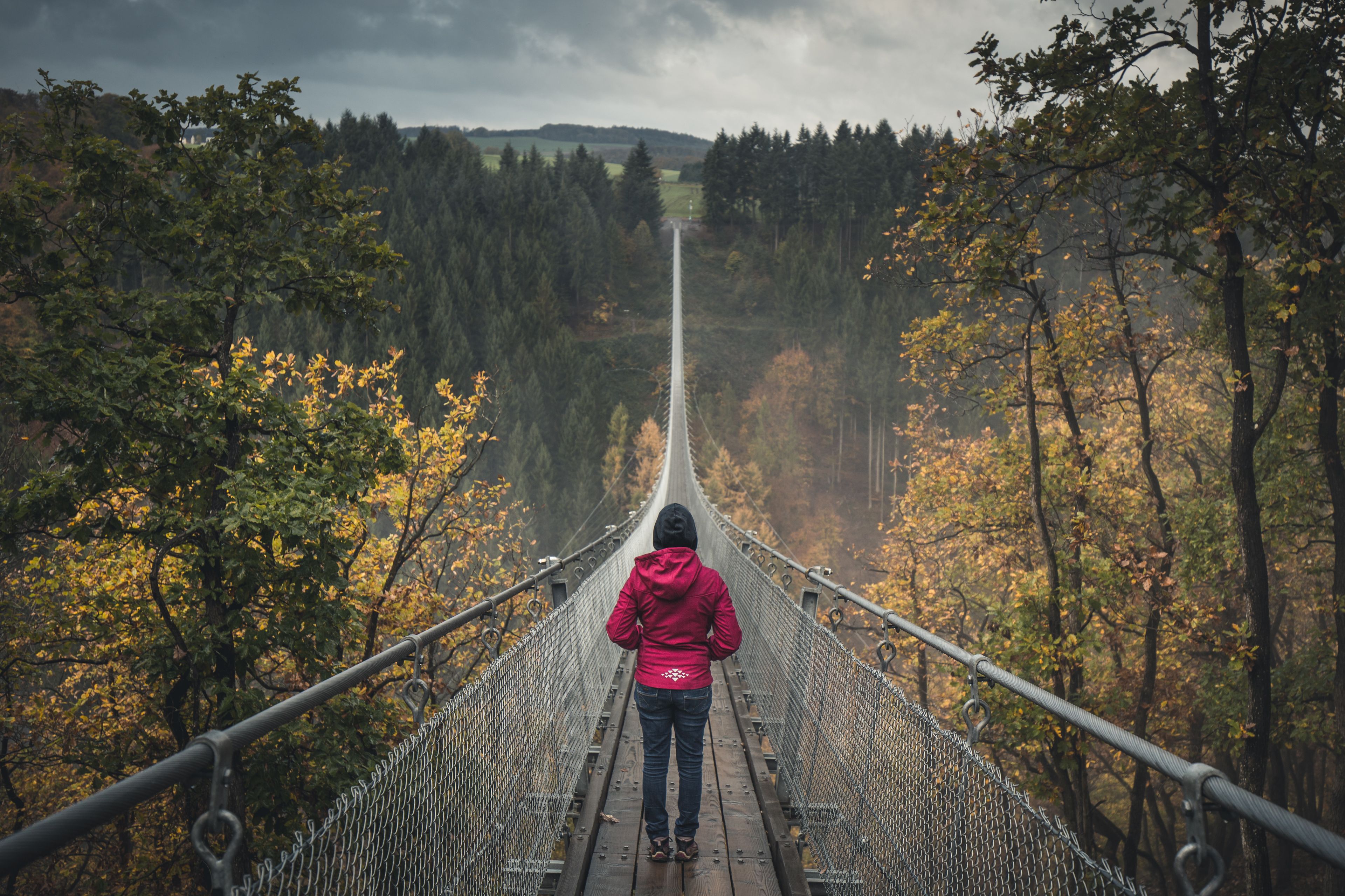 A person standing on a suspension bridge with a forested valley in the background.