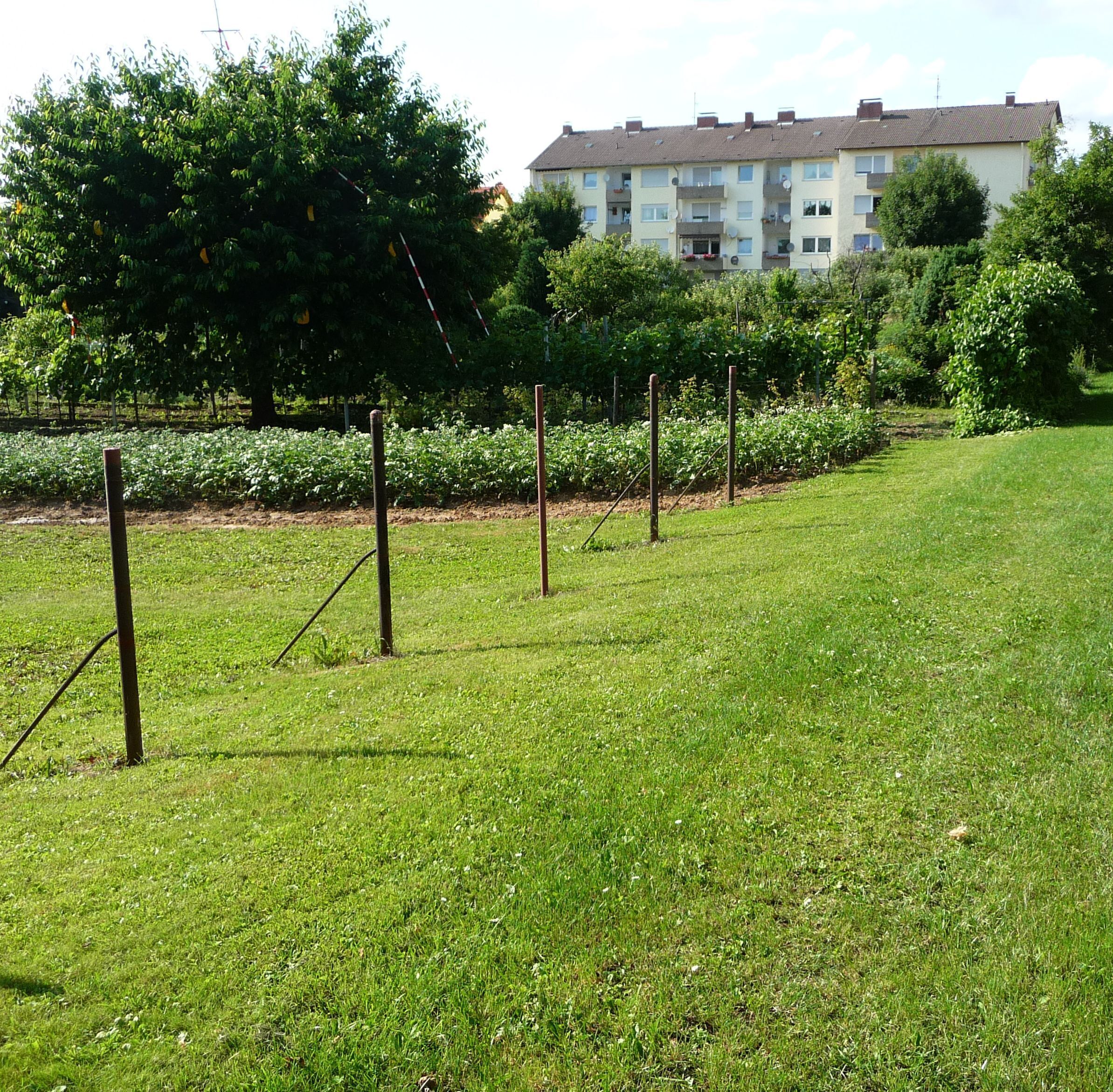 A grassy field with trees and a residential building in the background.