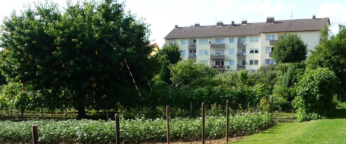 A grassy field with trees and a residential building in the background.