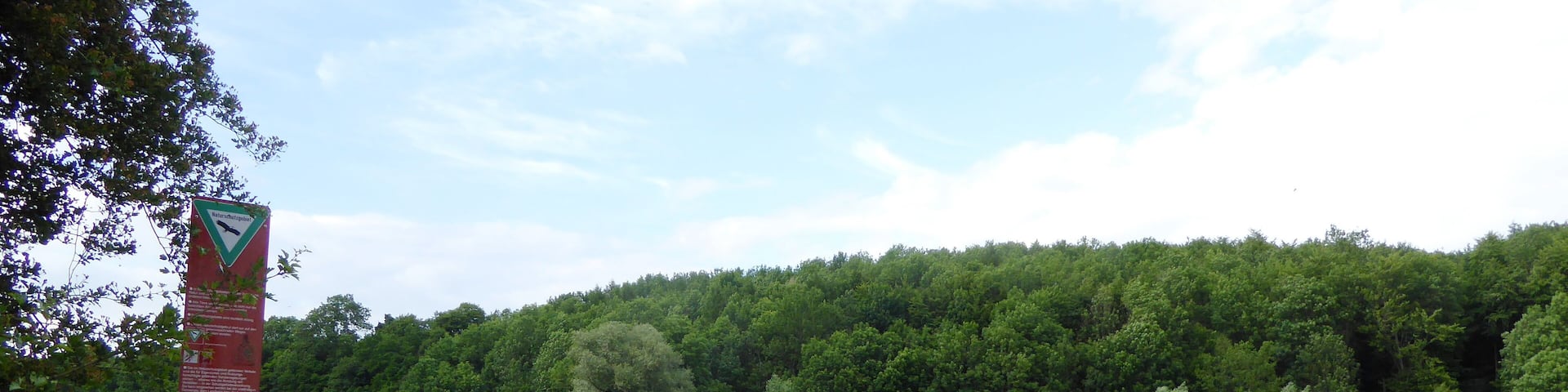 Naturschutzgebiet "Großer Leinebusch" bei Jühnde, Südniedersachsen.