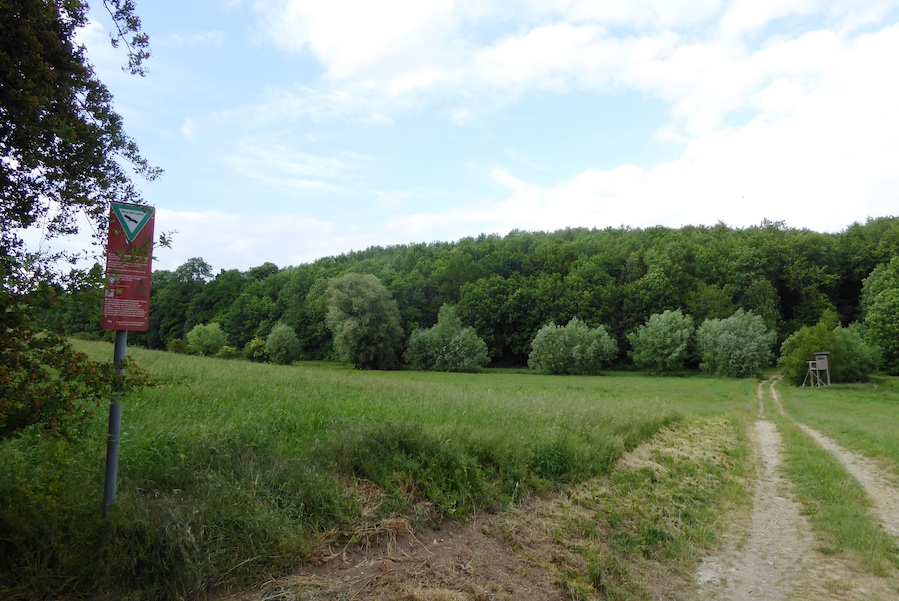 A dirt path leading through a green field with a dense forest in the background and a signpost with a triangular warning sign.