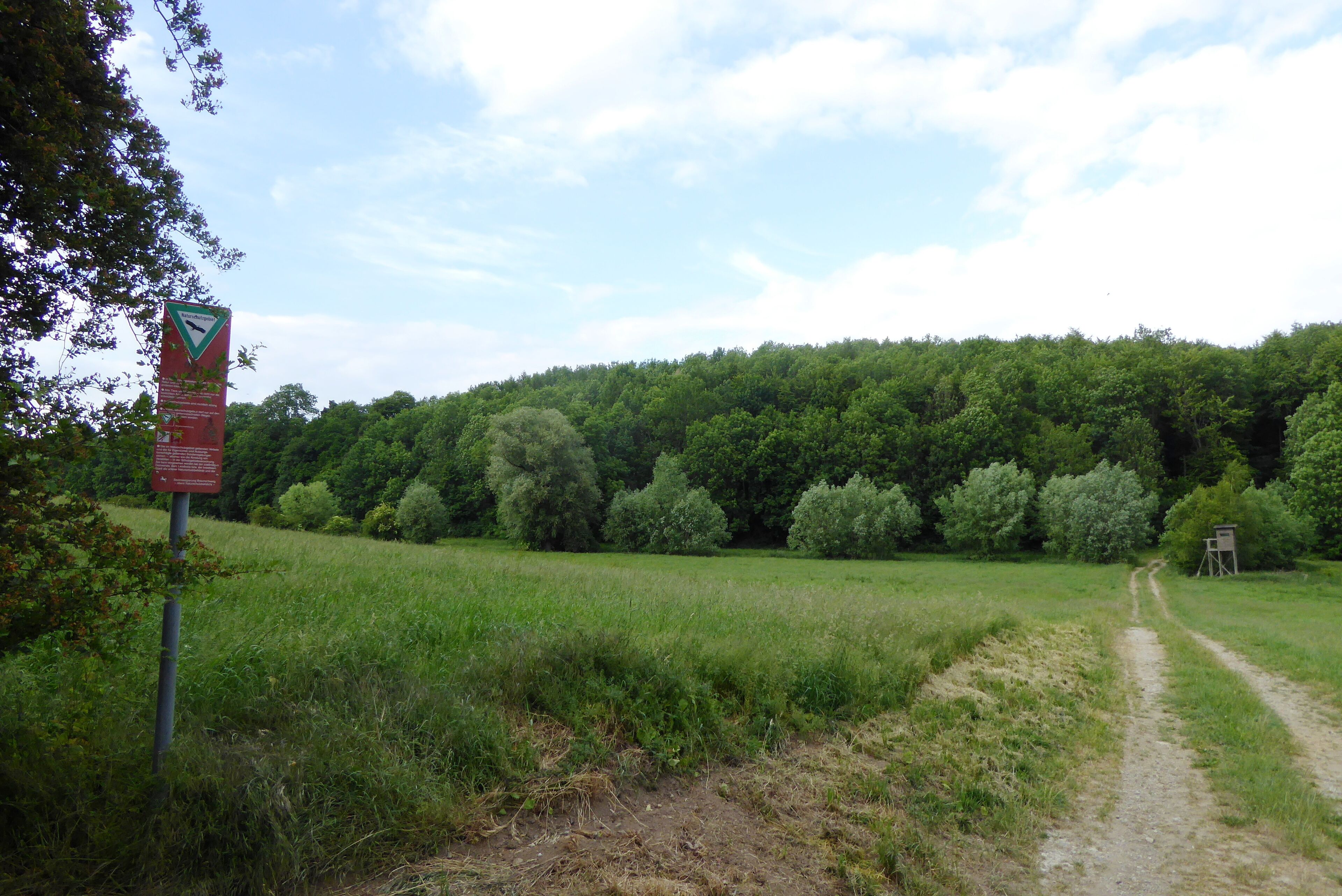 A dirt path leading through a green field with a dense forest in the background and a signpost with a triangular warning sign.