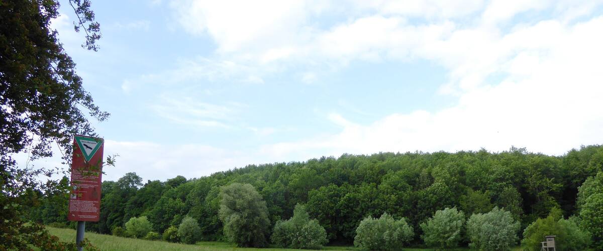 A dirt path leading through a green field with a dense forest in the background and a signpost with a triangular warning sign.