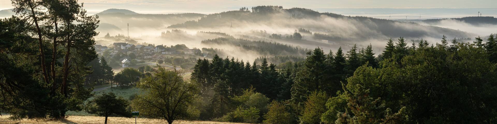 A misty landscape with a village nestled among hills, surrounded by dense forests and a clear sky.