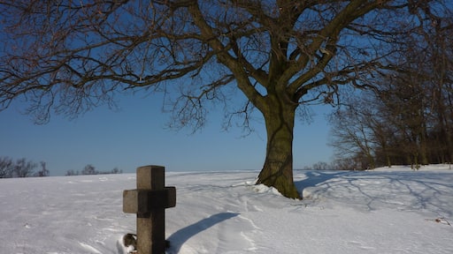 Schönbach, Hauptmannkreuz