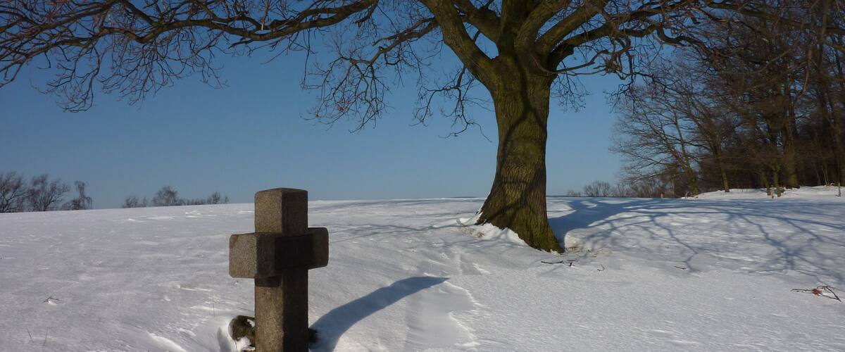 A snow-covered landscape with a large tree and a stone cross.