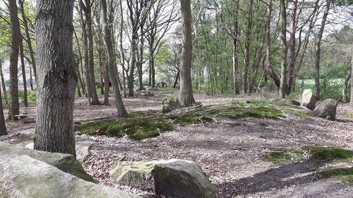 كلاين بيرسين