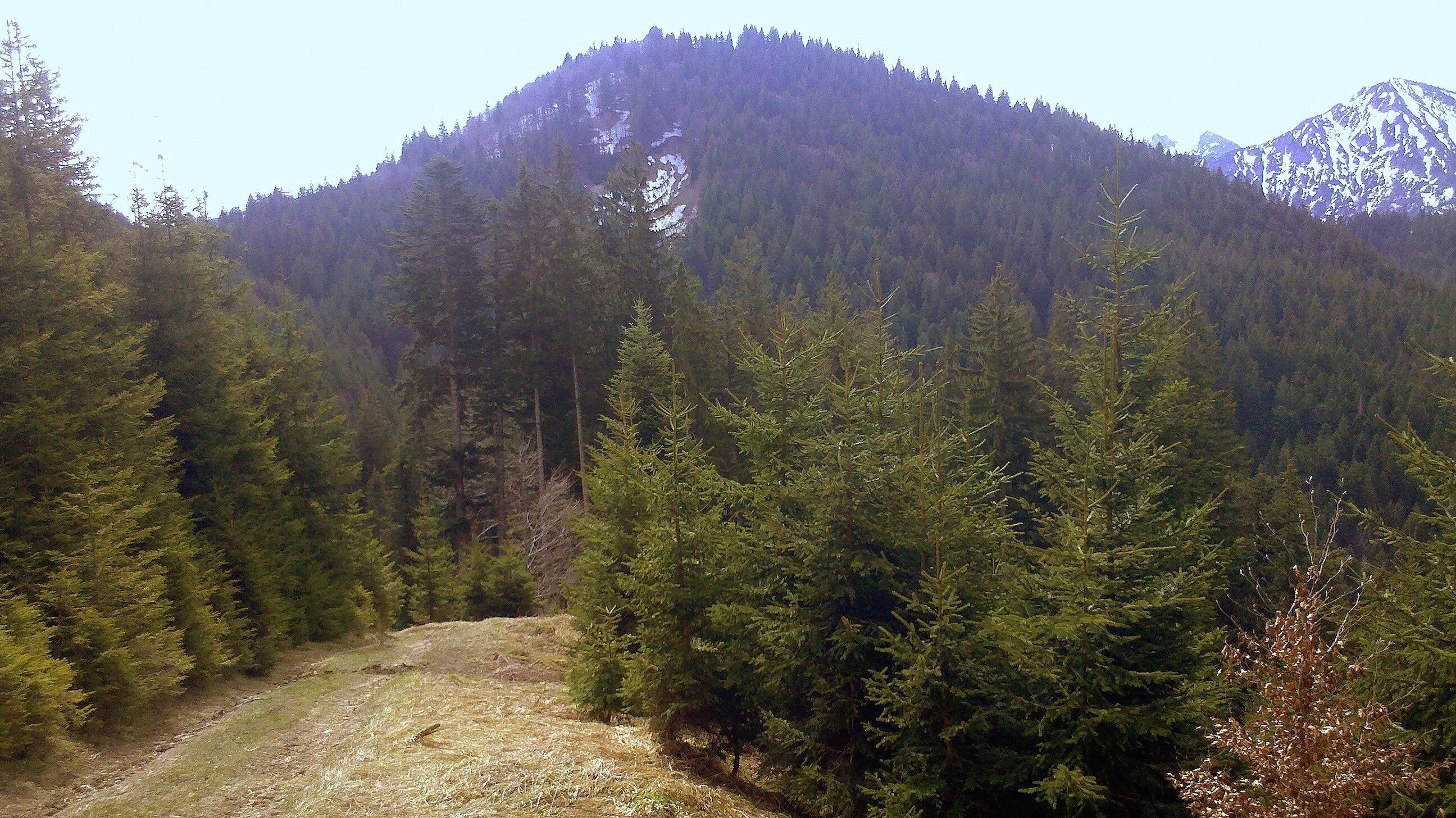 Sattelkopf (Tegernseer Berge), Germany