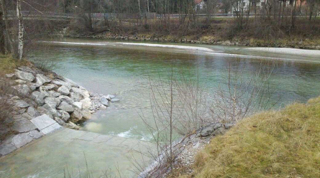 Arzbach flows into Isar
