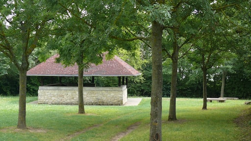 Der Grillplatz Essenheim kann nur mit Genehmigung der Gemeinde Essenheim benutzt werden