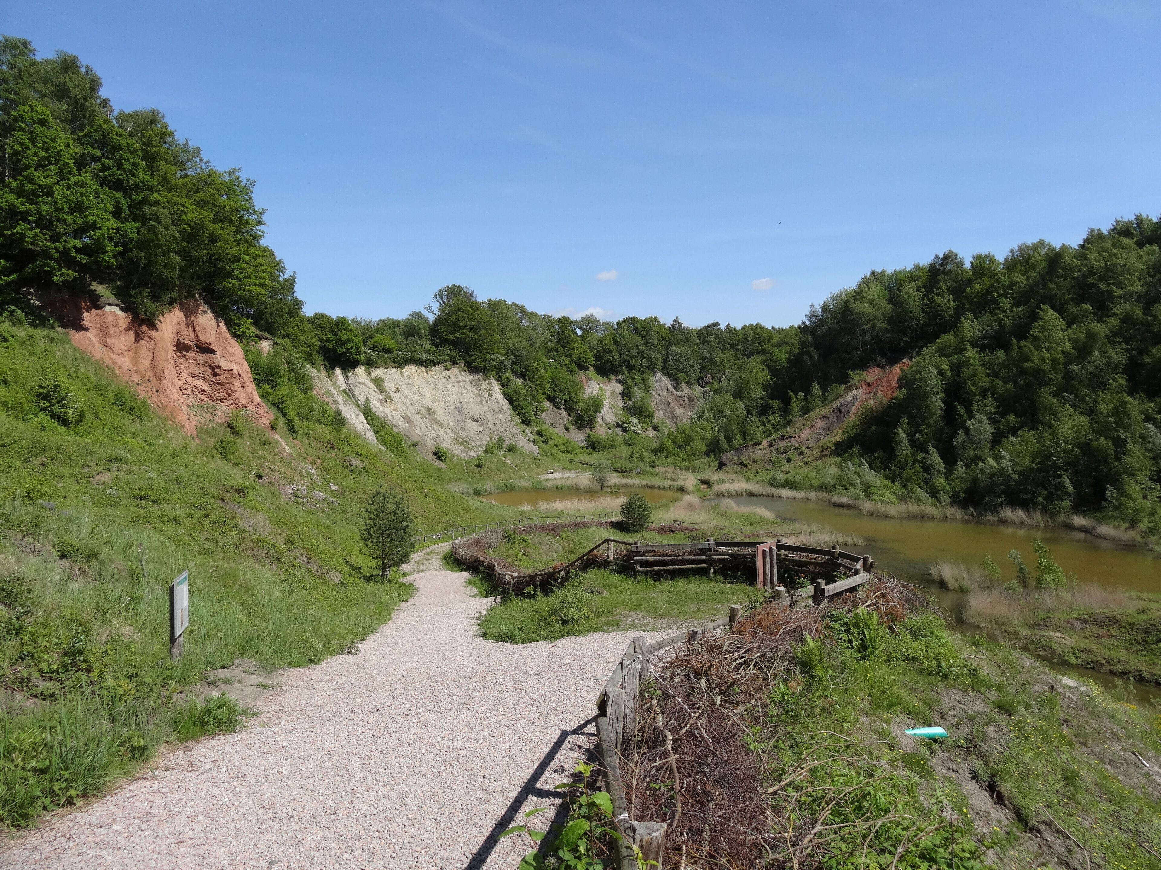 Bilder aus der de:Liether Kalkgrube