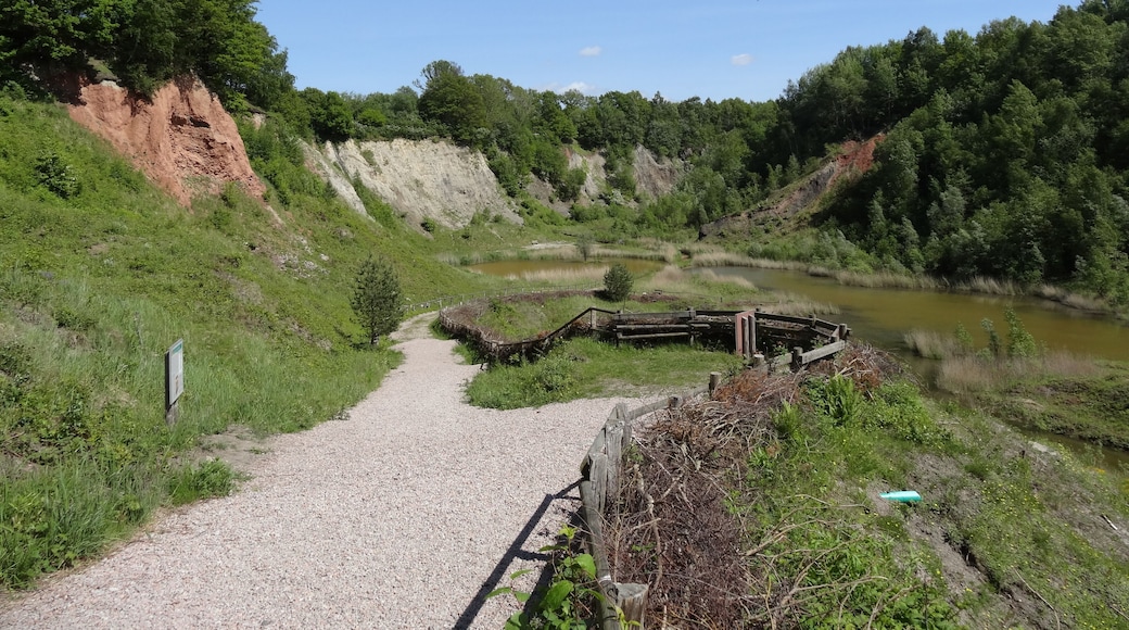 Bilder aus der de:Liether Kalkgrube
