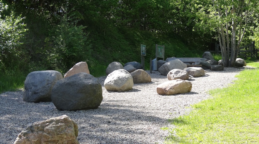 Bilder aus der de:Liether Kalkgrube