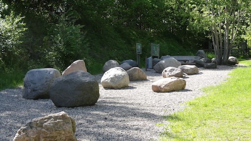 Bilder aus der de:Liether Kalkgrube