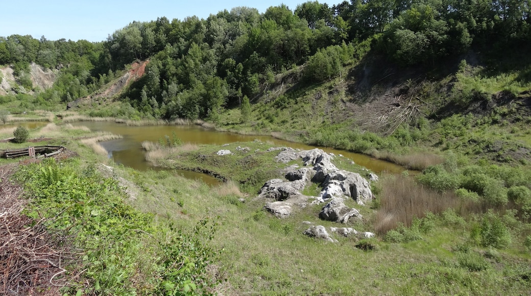 Bilder aus der de:Liether Kalkgrube