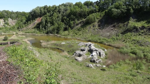 Bilder aus der de:Liether Kalkgrube