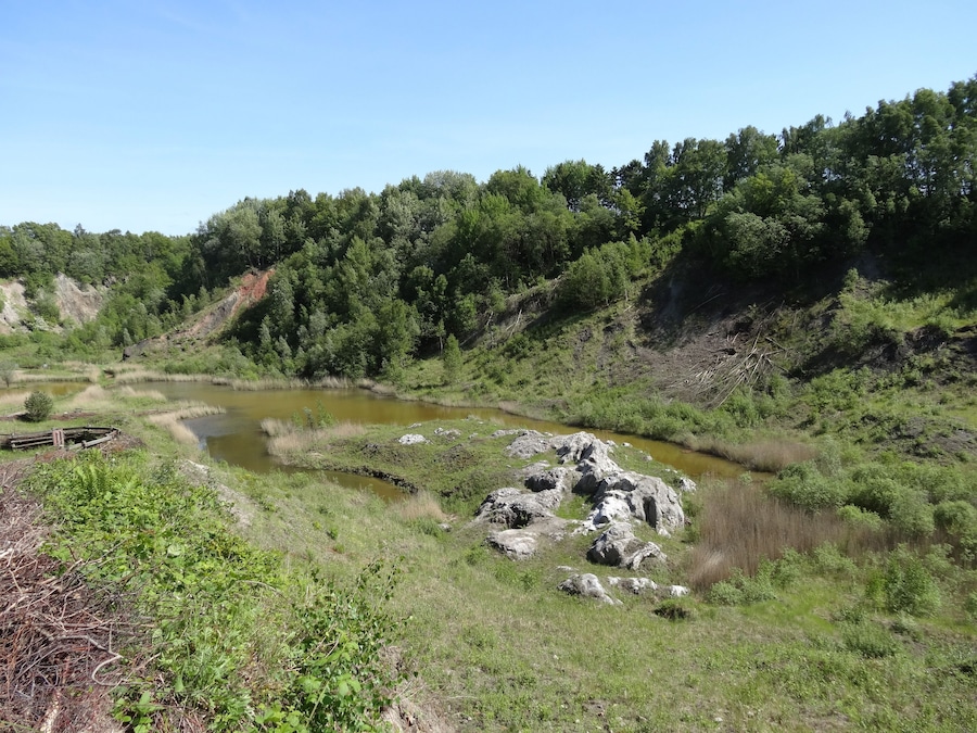 Une rivière sinueuse traverse une vallée boisée, parsemée de formations rocheuses et bordée d’arbres denses.
