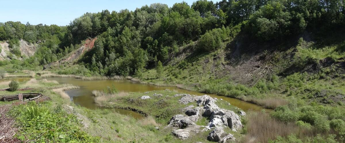 A river winding through a forested valley with rocky outcrops and dense trees.