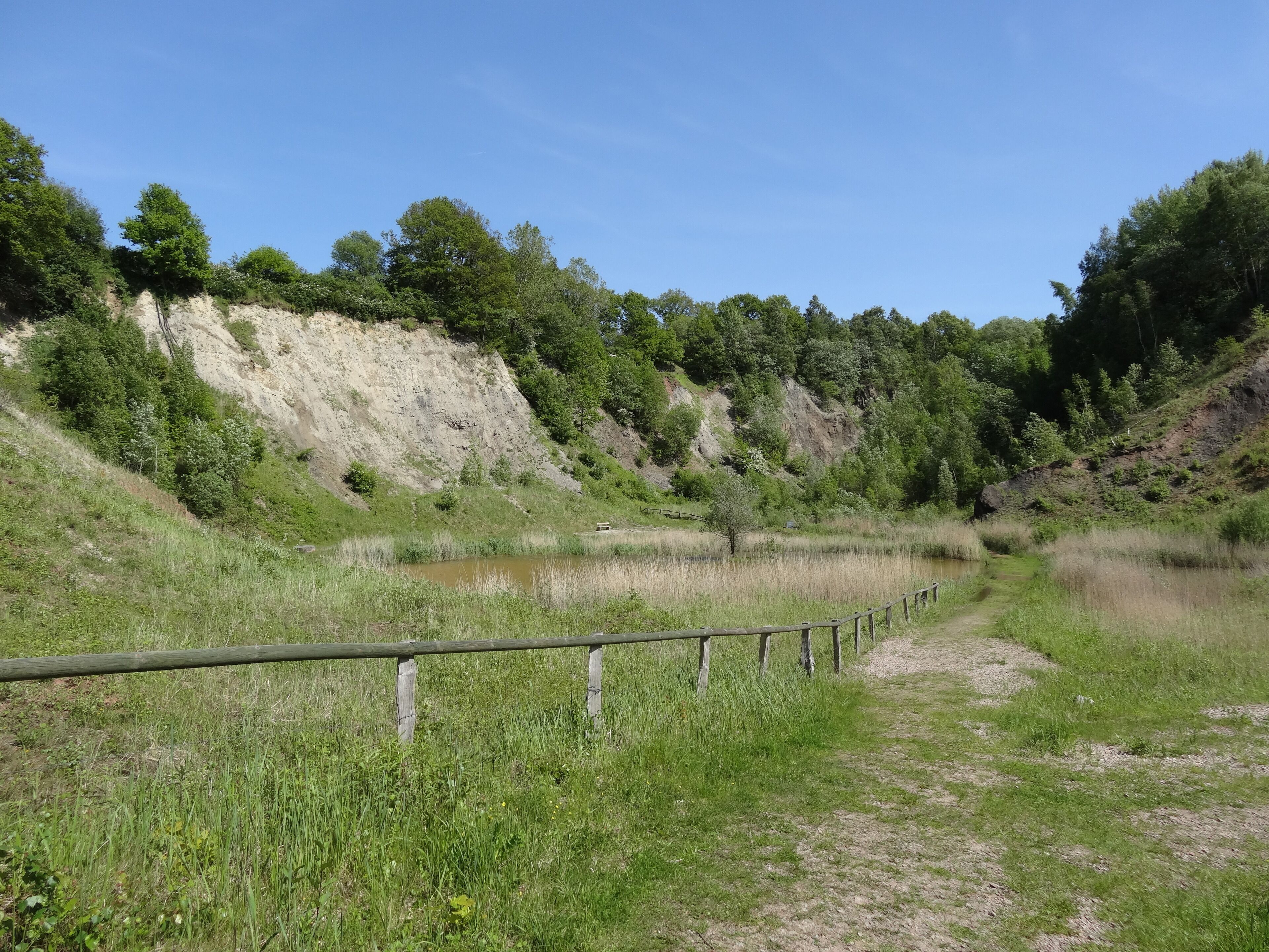 Bilder aus der de:Liether Kalkgrube