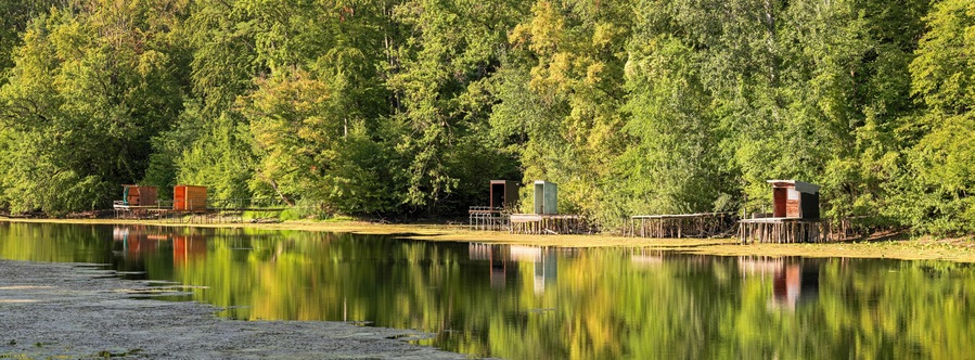 Ein friedlicher See mit hölzernen Stegen und Blockhütten, umgeben von dichtem Wald.