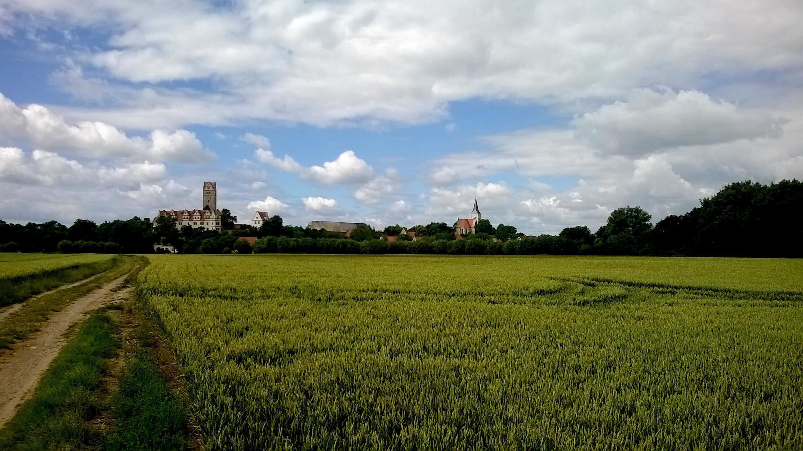A rural landscape with a field, a path, and a castle in the background.