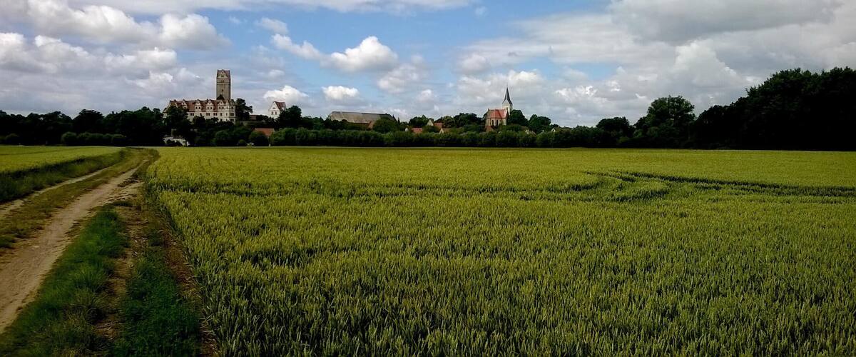 A rural landscape with a field, a path, and a castle in the background.