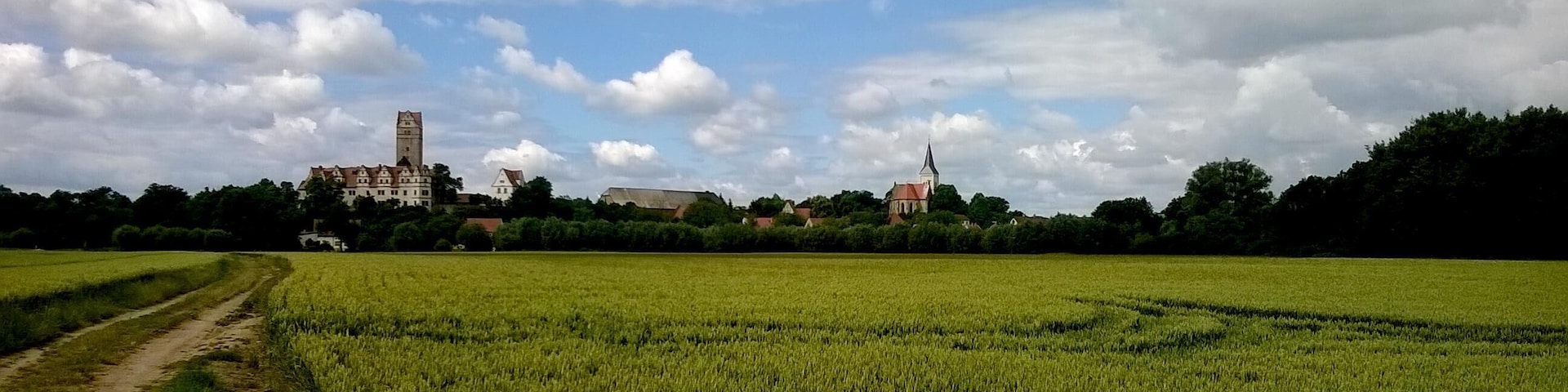 A rural landscape with a field, a path, and a castle in the background.