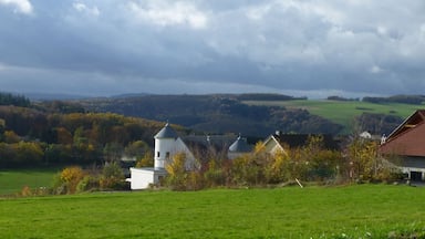 Landskab med hvide kirke, et hus med rødt tag, og træer i efterårsfarver.